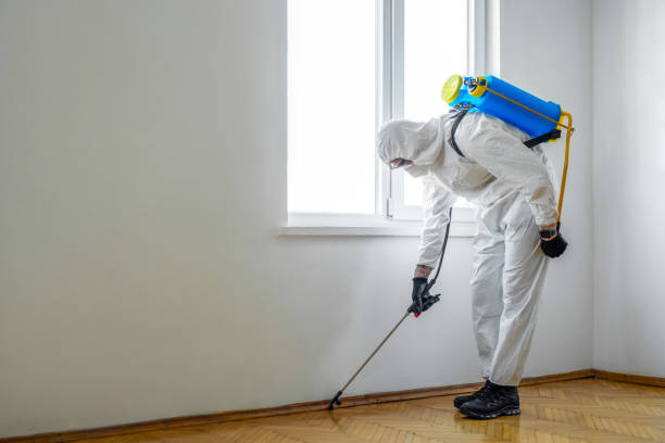 Real Estate Pest Inspections in Cass City, MI